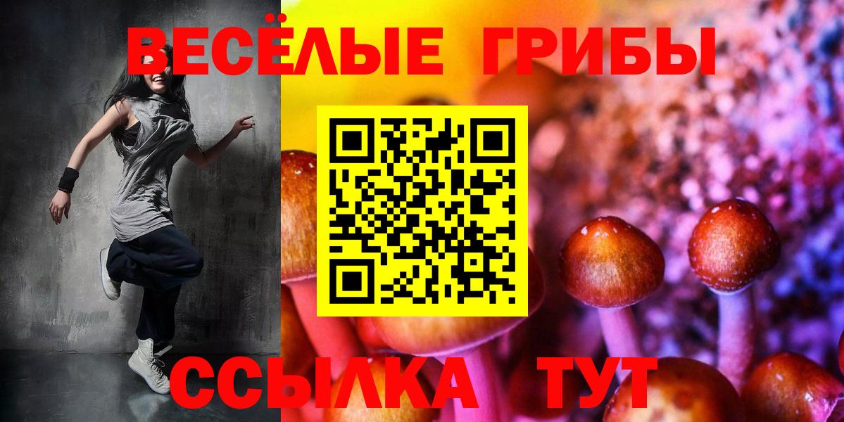 Нижний Новгород  Псилоцибиновые грибы MAGIC MUSHROOMS  Вход с VPN 